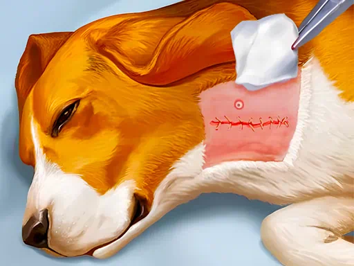 犬の病院ゲーム