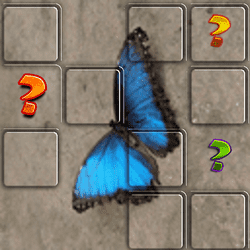 蝶の記憶マッチゲーム