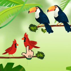 鳥の分類ゲーム